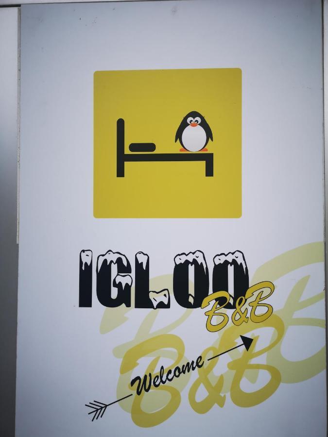 L'Igloo B&B Sedico Bagian luar foto